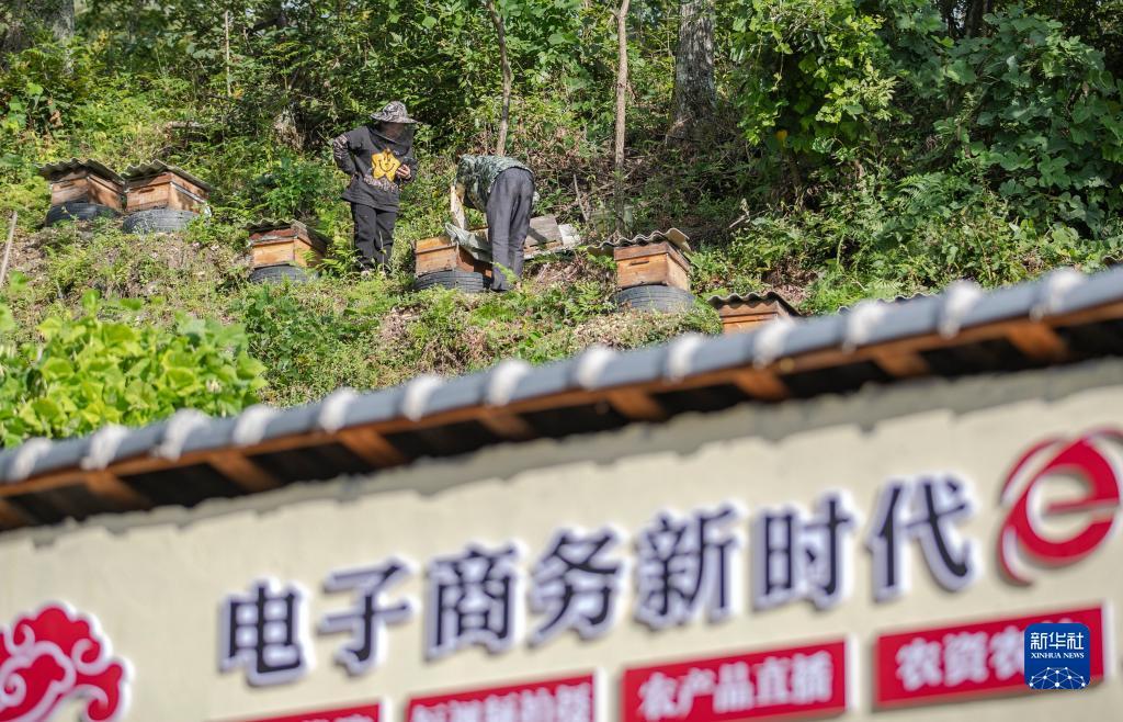注册送48现金可提现